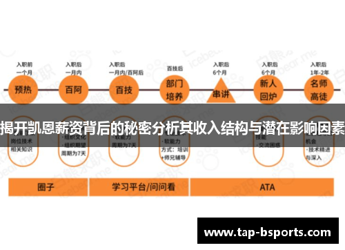 揭开凯恩薪资背后的秘密分析其收入结构与潜在影响因素