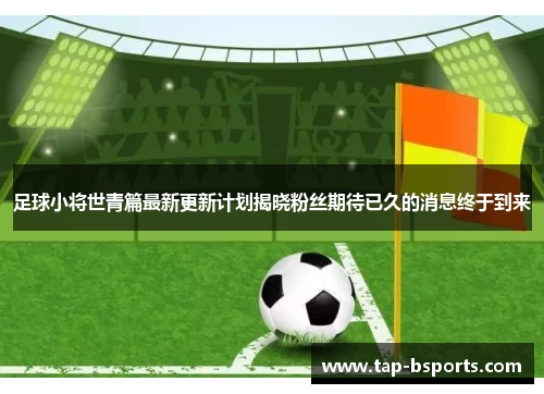 足球小将世青篇最新更新计划揭晓粉丝期待已久的消息终于到来