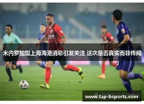 米内罗加盟上海海港消息引发关注 这次是否真实而非传闻 米内罗加盟上海海港消息引发关注 这次是否真实而非传闻