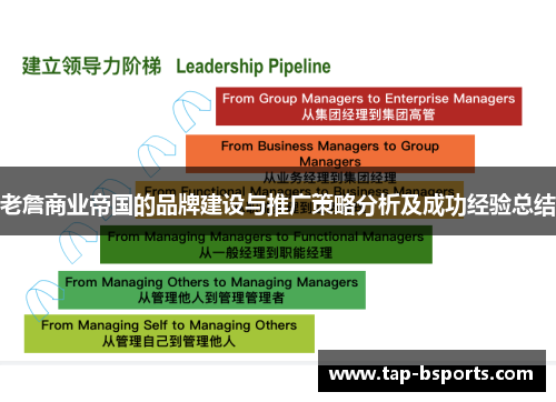 老詹商业帝国的品牌建设与推广策略分析及成功经验总结