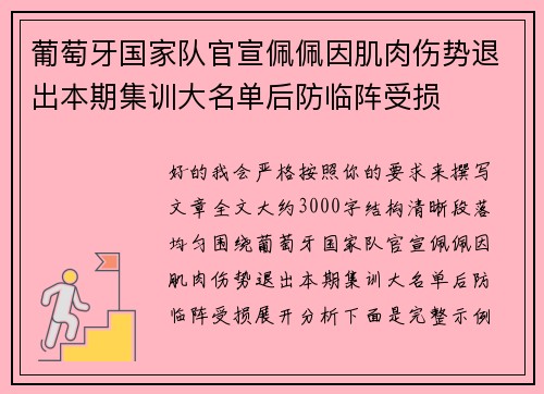 葡萄牙国家队官宣佩佩因肌肉伤势退出本期集训大名单后防临阵受损